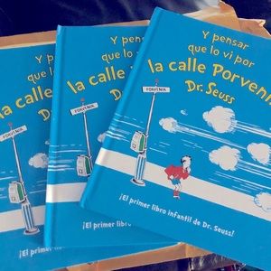 Y PENSAR QUE LO VI POR LA CALLE PORVENIR (Spanish)